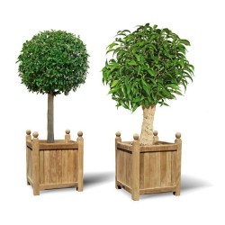 Set of 2 Large Garden Planters, Versailles Planters