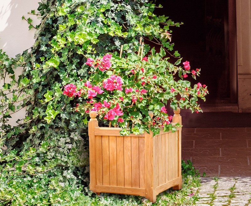 Large Garden Planter, Teak Versailles...