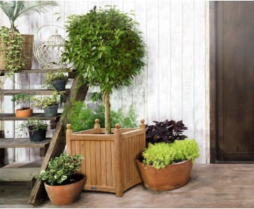 Extra-Large Garden Planter, Teak Versailles Planter 2