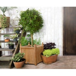Extra-Large Garden Planter, Teak Versailles Planter