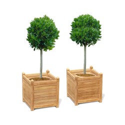 Set of 2 Zen Extra Large Garden Planters, Teak